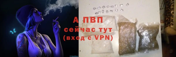 гидра Зеленодольск
