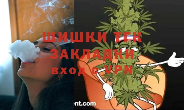 гидра Зеленодольск