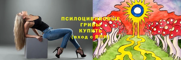 дмт Зерноград