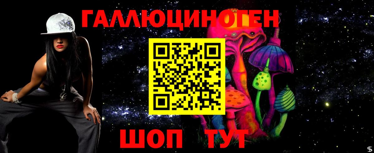 Кизляр  Псилоцибиновые грибы GOLDEN TEACHER  Вход с VPN  Псилоцибиновые грибы Psilocybe 